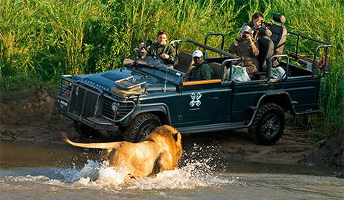 Kruger National Park game drive.
