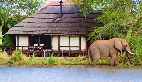 Kruger National Park safari lodge.