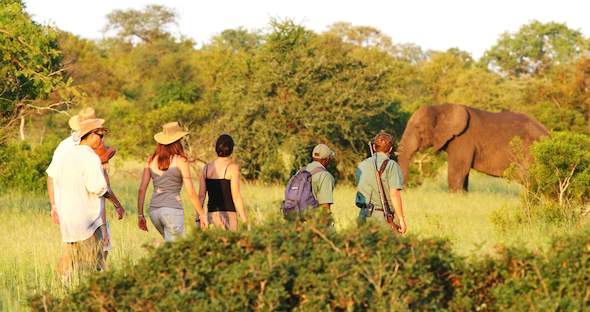 Kruger Park Vacation Packages - Unique Safari Package - South African ...