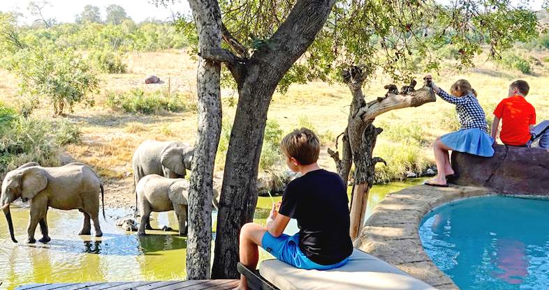 Kruger National Park - Most Popular South Africa Safaris