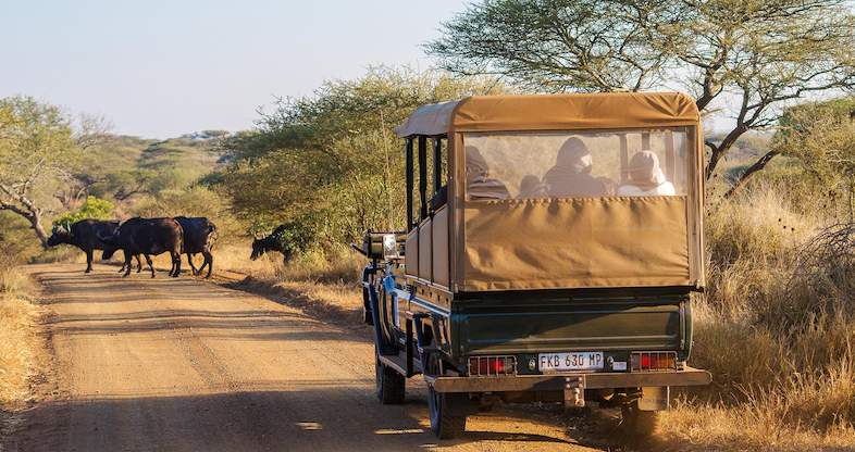 Classic Kruger Park Safari - 4 day Tented Safari Tour