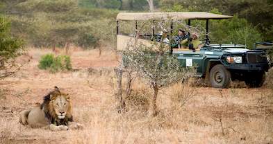 3 Day Classic Safari Package - Kruger Park Tour