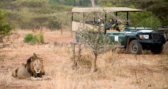 kruger safari holidays