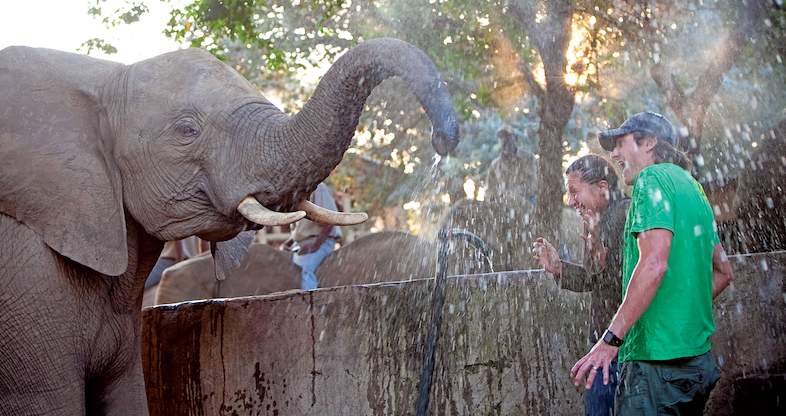 Self-drive Kruger Safari on a Budget