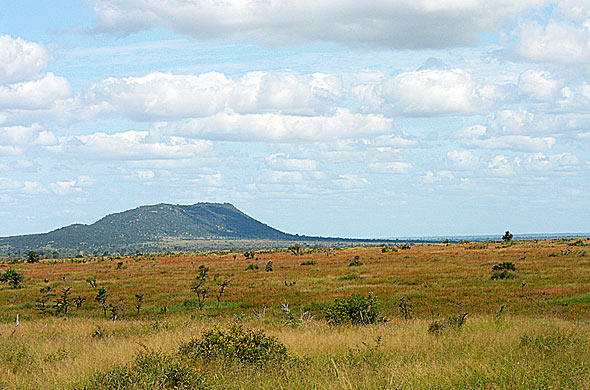 Kruger Park Facts - Vegetation by Regions