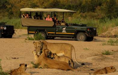 Images of Fitzpatricks Lodge at Jock - Kruger National Park