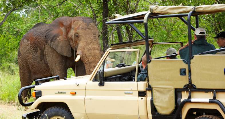 Classic Under Canvas - 3 day Classic Tented Kruger Safari Tour