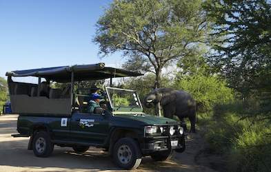 Game Drives In Kruger National Park - Kruger National Park - Travel ...