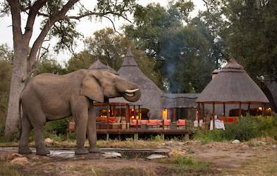 Images of Hoyo Hoyo Safari Lodge