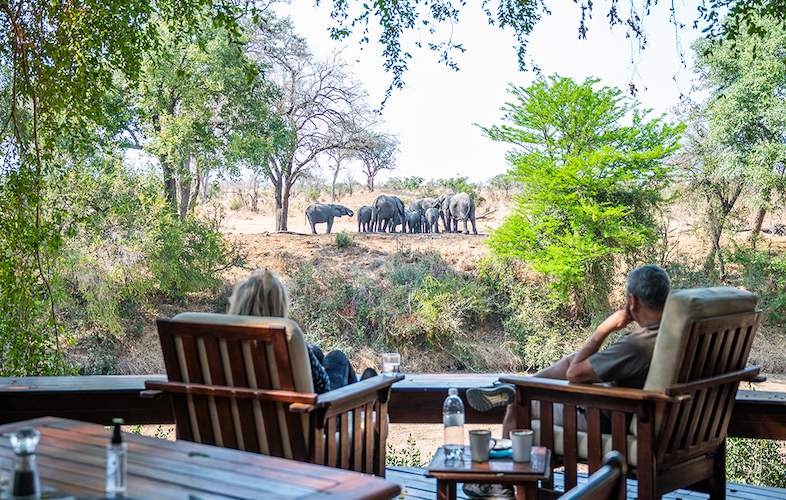 Imbali Safari Lodge - Kruger National Park - Activities