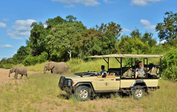 Imbali Safari Lodge - Kruger National Park - Activities