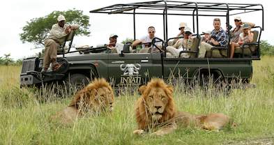 Classic Guided Safari Packages - Kruger Park Guided Tours