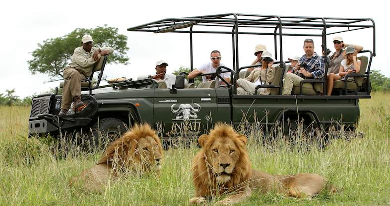 safari bookings kruger
