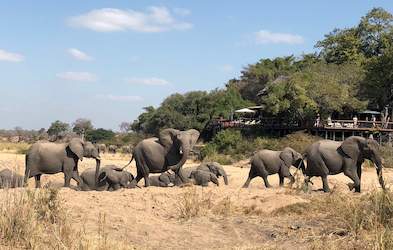 Images of Jock Safari Lodge - Kruger Park