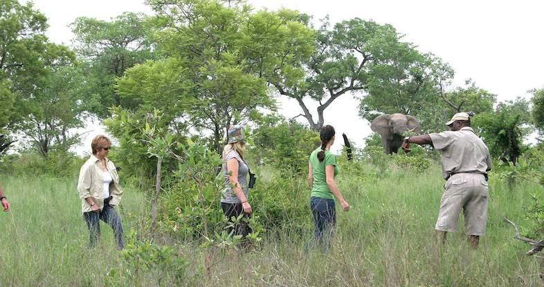 jock of the bushveld safari lodge