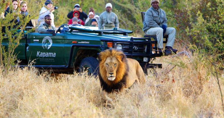 Relaxing Guided Kruger Safari Getaway