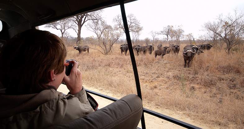 Classic Guided Safari Packages - Kruger Park Guided Tours