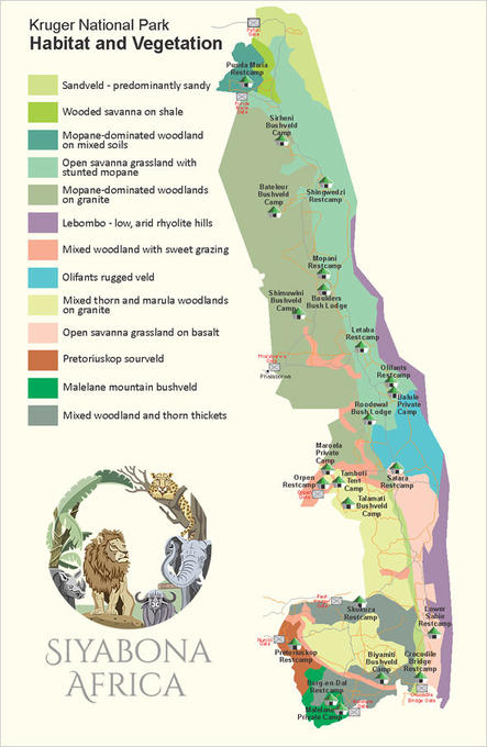 Ecology Map Of Kruger Park Climate And Vegetation Map   Kruger Park Biomes Map 590 443x680 