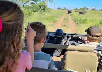 Kruger Park Safari : Siyabona Africa Premier, Luxury and Classic Packages