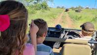 safari holidays kruger national park