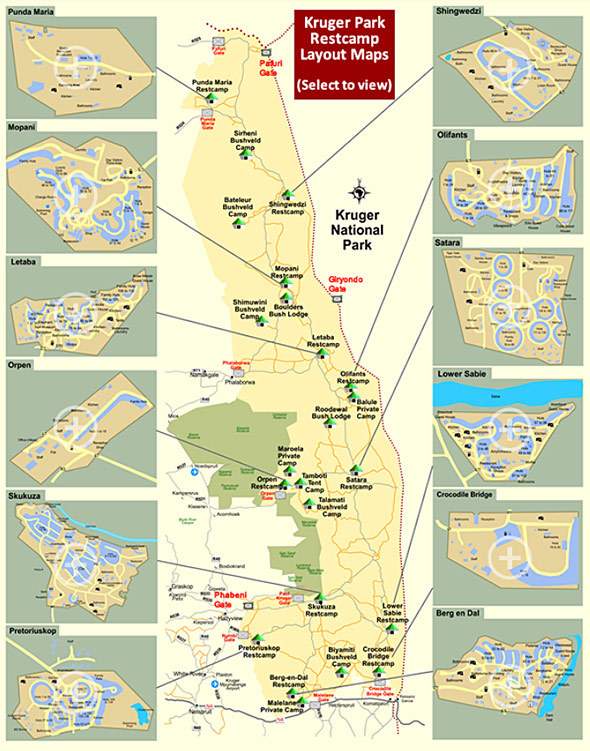 Kruger Park Rest Camp Layout Map 590 590x751 