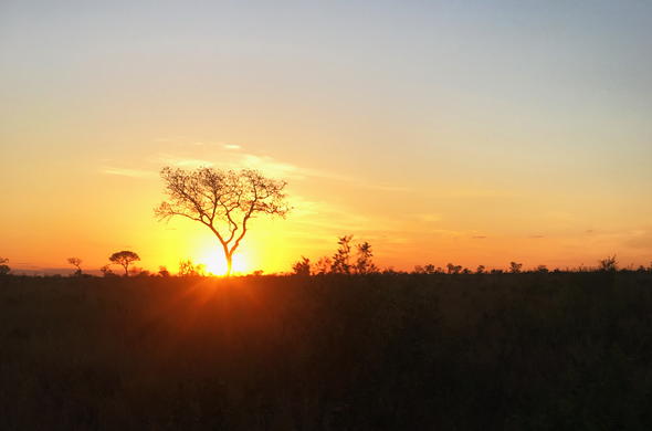 Images of a Great African Park - Souther Kruger Park - Recommended Books