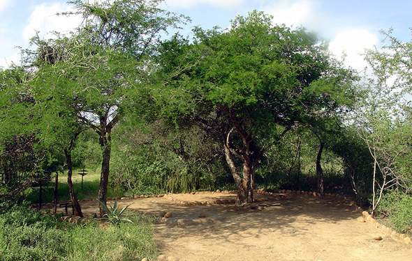 Kruger Park Times - Resettlement Project In Limpopo National Park