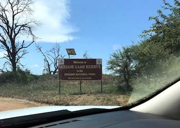 Kruger Park Self-Drive Safaris - Holiday Packages