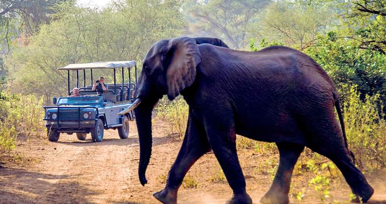 Remote Escape - 3 day Luxury Self-drive Kruger Safari Package