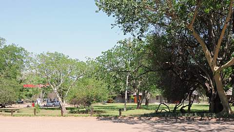 Images of Kruger National Park - Pretoriuskop Rest Camp - Accommodation