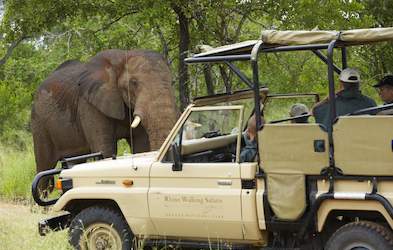 Images of Rhino Post Safari Lodge - Kruger Park, South Africa