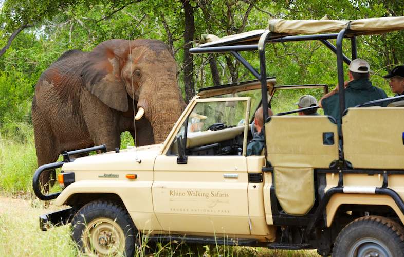 Images of Plains Camp - Kruger National Park