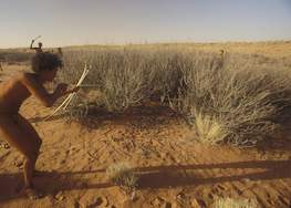 San - Bushmen - Kalahari, South Africa...