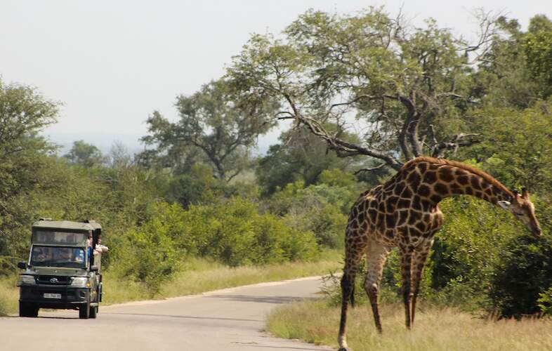 skukuza hotel kruger park